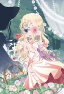 Memory of Roses' Profile