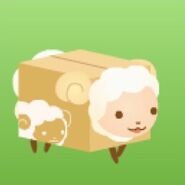 Boxy Sheep