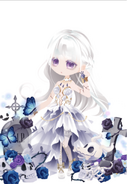 1st Half Hyper Limited Time Bonus