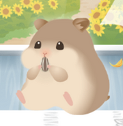 Hamster Brown