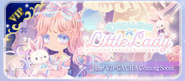 Preview Display