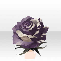 Shadow O' uomo rosa sales