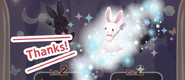 Rabbit Pink