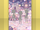 (Show Items) Amazing Animal Rainbow Park Stage purple ver.1.png