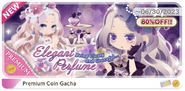 Elegant Perfume's Display
