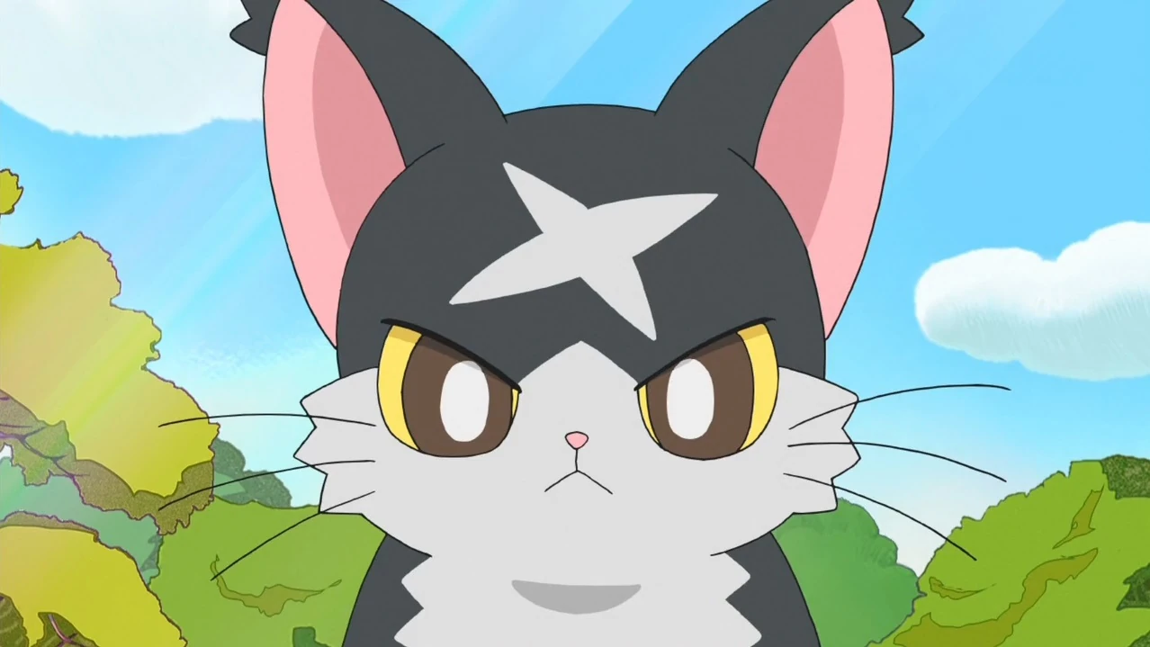 KOTARO様 Kotaro | Cocotama Wikia | Fandom