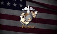 PTV miller..jpg