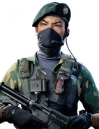 Skin Encroachment.png (173 kB) Skin Encroachment