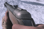 Primera persona del PPSh-41