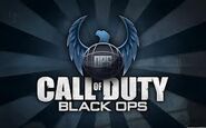 Call of Duty Black Ops Wallpaper 03
