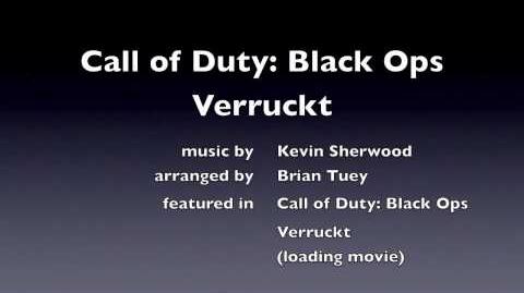 Call of Duty Black Ops - Verruckt loading screen nazi zombies Kevin Sherwood-0