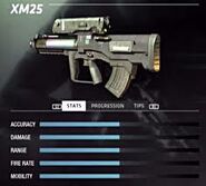 Datos de la XM25.