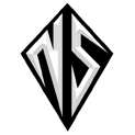 Team NSlogo square
