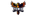 FEN1X eSports Clublogo std.png
