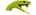 SlimeSznlogo std.png