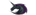 Black Unicorns Clublogo std.png