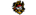 Team Dark Pirateslogo std.png