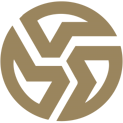Team Vortexlogo square