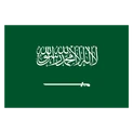 Saudi Arabialogo square