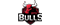 GTZ Bulls Esportslogo std