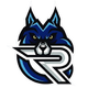 Rapid eSportslogo square