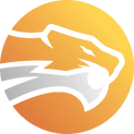 Wild Esportslogo square