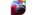 Flying Unicornslogo std.png