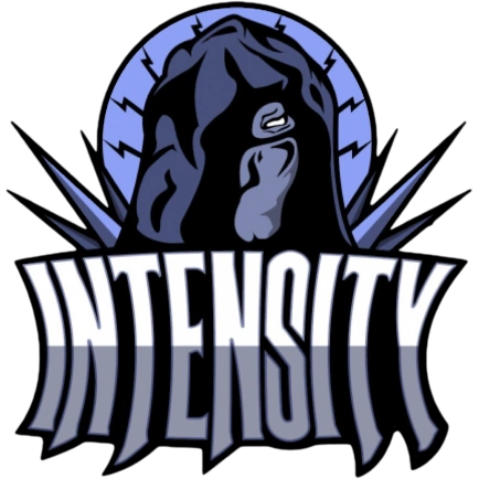 Intensity - Call of Duty Esports Wiki