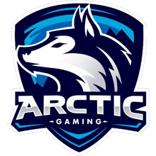 Arctic Gaminglogo Square