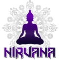 Nirvana Esportslogo square