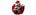 Reborn Knightslogo std.png