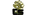 Collapselogo std.png