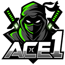 ACE1logo square.png