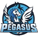 Team Pegasuslogo square