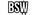 Team BSWlogo std