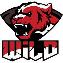 WiLD Gaminglogo square