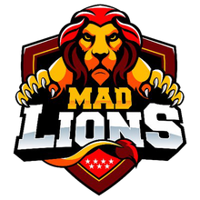 MAD Lions E.C.logo square.png
