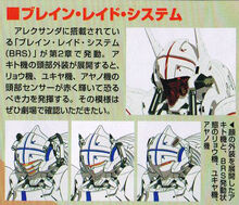 The BRS Mode ("Brain Raid System")