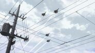Britannian Jet Fighters passing over the sky of Japan during the Britannian Invasion