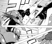 Nemo and Alice Resonance