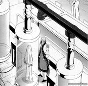 Schneizel observing C.C. (SotC)