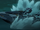 Knightmare Speedboat