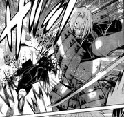 Isshin's skill