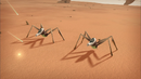 Two Tarantulas seen in the Desert Sector in Evolution