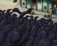 6 (58): Le prétendant