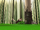 Code Lyoko - The Forest Sector - The Way Tower.PNG