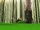 Code Lyoko - The Forest Sector - The Way Tower.PNG