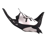 Mantanegra.jpg (11 kB) A manta negra de William-XANA.