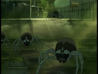 Bragging Rights They go to attack Odd image 2.png (480 KB) The spiders go to attack Odd.
