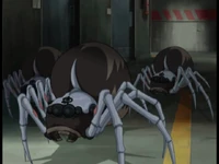 Bragging Rights Robot spiders close up image 1.png (433 KB) Three spiders in the facility.